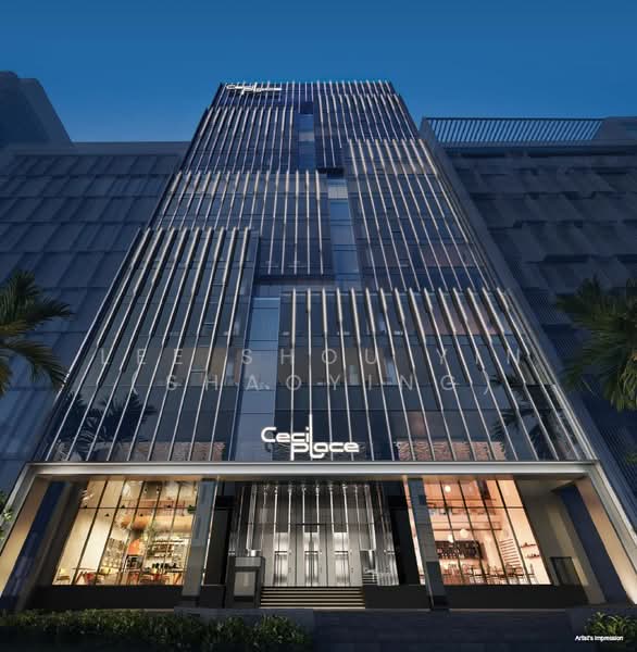 Cecil Place, 137 Cecil Street, Boat Quay / Raffles Place / Marina, 2,551 sqft, Office For Sale, by Lee Shou Yin (Shaoying), 500081298 - Exterior - CommercialGuru.com.sg