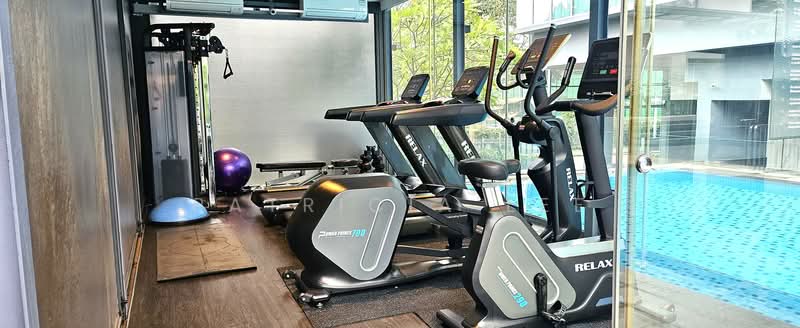 2 RVG, 2 River Valley Grove, 2 Bedrooms, 893 sqft, Condominium For Rent, by Patricia Lee, 500081299 - Gym - PropertyGuru.com.sg