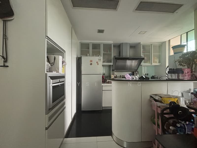 Parc Mackenzie, 68 Mackenzie Road, 2 Bedrooms, 904 sqft, Apartment For Rent, by Aloysius Ng, 500081363 - Kitchen - PropertyGuru.com.sg