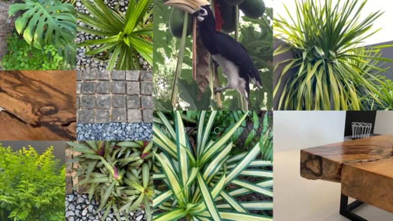 Broadrick Road studio for rent, , Room Rental, 1,000 sqft, Detached House For Rent, by Ching Chia, 500081614 - Garden - PropertyGuru.com.sg