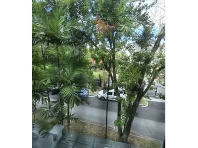 For Sale - Braddell Heights Estate