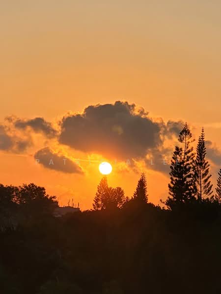 The Watergardens at Canberra Condominium For Sale at S$ 1,500,000 | PropertyGuru Singapore - View from bedroom