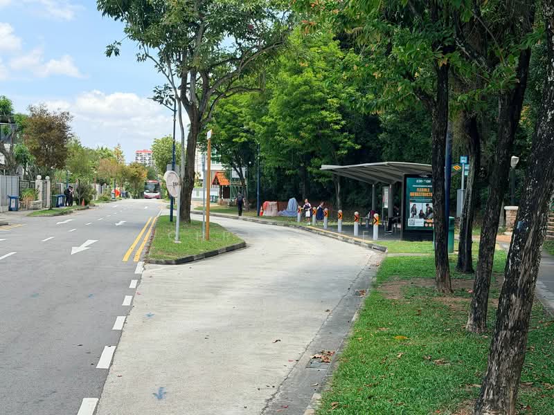 Bodmin Drive Semi-Detached House For Sale at S$ 10,000,000 | PropertyGuru Singapore - Exterior