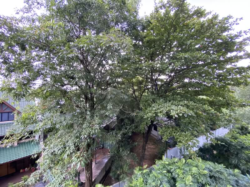 38 Jervois Condominium For Sale at S$ 1,600,000 | PropertyGuru Singapore - Exterior View