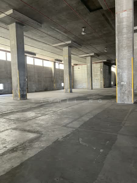 🌟 Pioneer | Ramp Up Warehouse | Ambient Warehouse | Exclusive loading bays | High ceiling, Pioneer road, Boon Lay / Jurong / Tuas, 40,377 sqft, Warehouse For Rent, by Rachel ng, 500082701 - CommercialGuru.com.sg