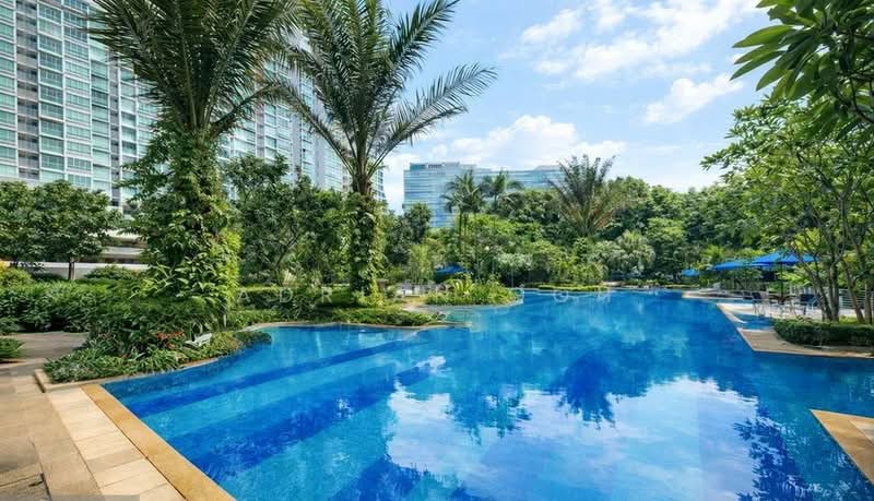 Citylights, 80 Jellicoe Road, 3 Bedrooms, 1,442 sqft, Condominium For Rent, by Adrian Goh, 500082781 - Pool - PropertyGuru.com.sg