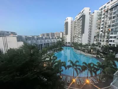 For Rent - Skies Miltonia