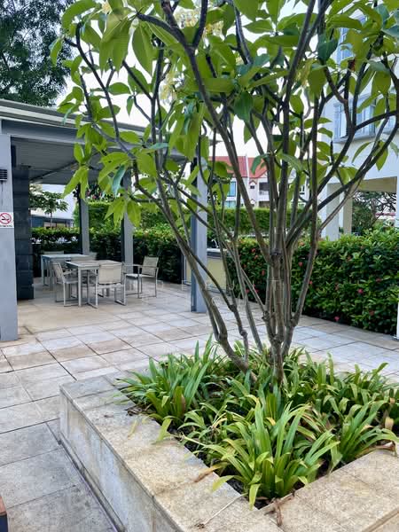 Pool deck & landscaping