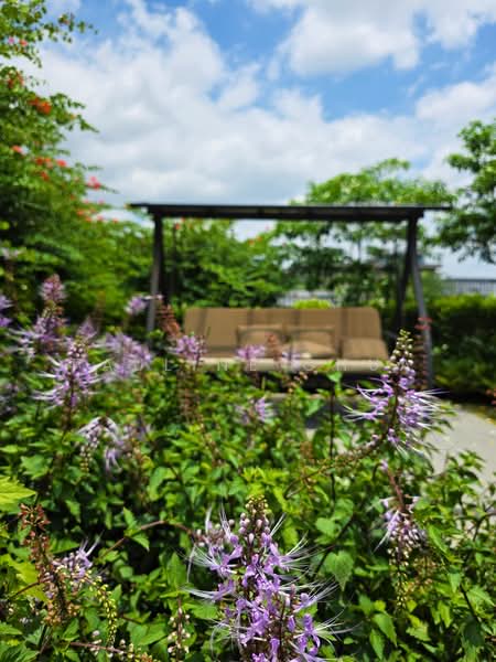 Tembusu Grand Condominium For Sale at S$ 1,409,000 | PropertyGuru Singapore - Garden