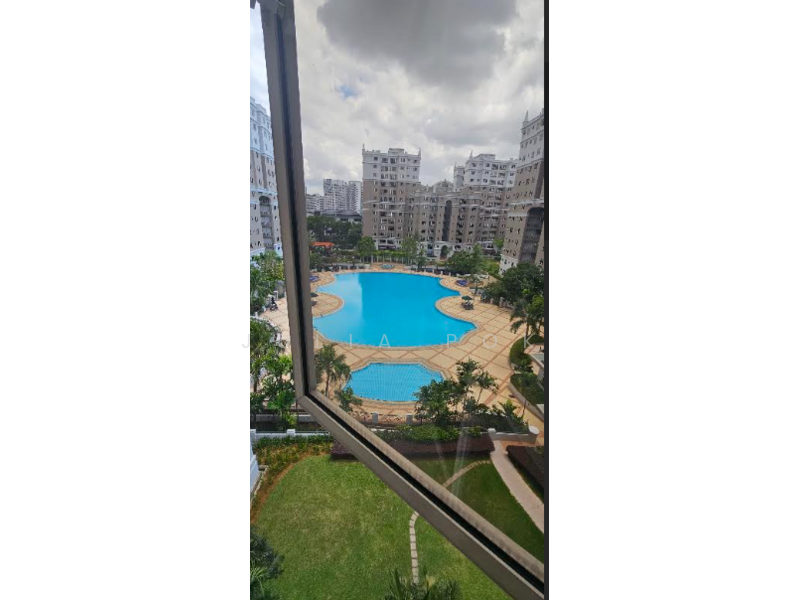 Pool view from living hall windows