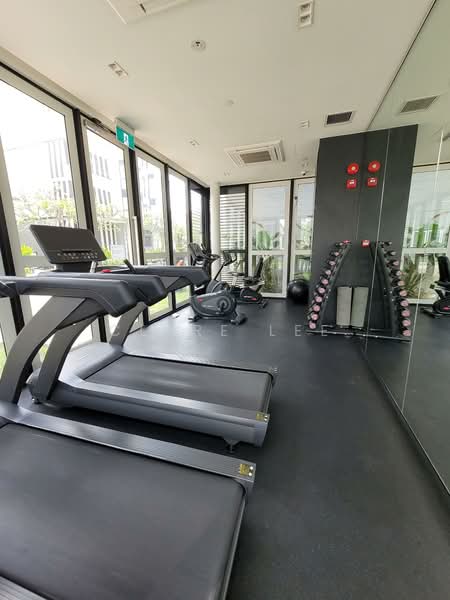 The Verandah Residences, 227 Pasir Panjang Road, 1 Bedroom, 527 sqft, Condominium For Rent, by Clare Lee, 500083539 - Gym - PropertyGuru.com.sg