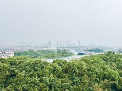 For Rent - Normanton Park