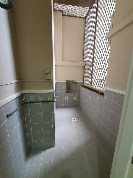 Leonie Condotel, 2 Leonie Hill Road, 2 Bedrooms, 861 sqft, Condominium For Rent, by Johanna Tay, 500083616 - Yard (for washer, dryer and dishwasher) - PropertyGuru.com.sg