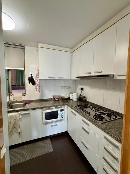 Amaryllis Ville, 20 Newton Road, 2 Bedrooms, 958 sqft, Condominium For Rent, by C.K. Mak, 500083808 - Kitchen - PropertyGuru.com.sg