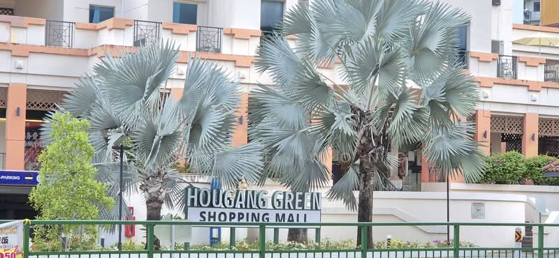 570 Hougang Street 51, 570 Hougang Street 51, 3 Bedrooms, 1,076 sqft, HDB Flat For Rent, by Mylene Wong, 500083820 - Exterior - PropertyGuru.com.sg