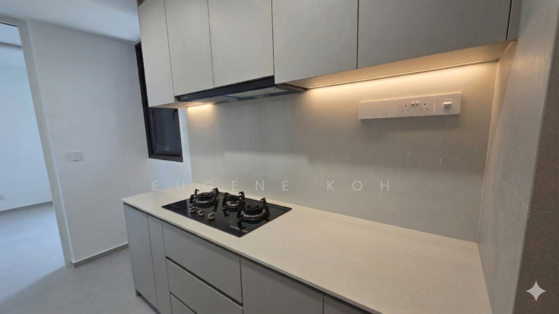 Brand New 2 Bedroom Apartment For Rent, , 2 Bedrooms, 980 sqft, Apartment For Rent, by Eugene Koh, 500083932 - PropertyGuru.com.sg