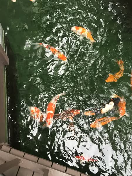 Queens, 10 Stirling Road, 3 Bedrooms, 1,184 sqft, Condominium For Rent, by Alex Wan, 500084056 - Exterior - PropertyGuru.com.sg