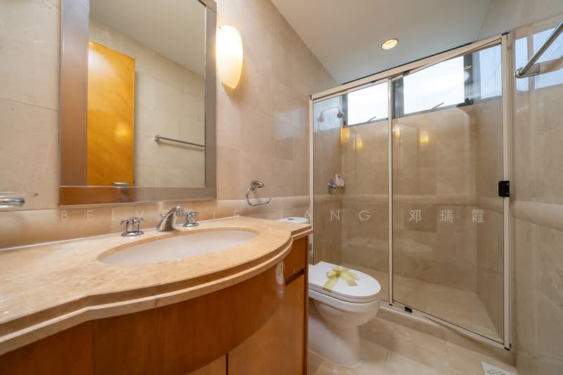 Grange 80, 80 Grange Road, 3 Bedrooms, 1,356 sqft, Condominium For Rent, by Belverie Tang 邓瑞霞, 500084186 - PropertyGuru.com.sg