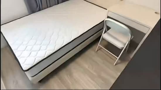 The Woodleigh Residences, 21 Bidadari Park Drive, Room Rental, 100 sqft, Apartment For Rent, by Kelvin Tan, 500084213 - PropertyGuru.com.sg