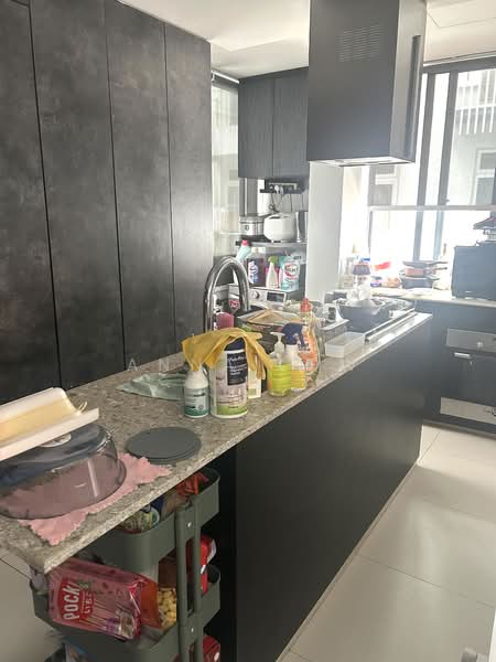 The Beacon Edge, 250 Tembeling Road, 3 Bedrooms, 968 sqft, Apartment For Rent, by Anna Low, 500084280 - Kitchen - PropertyGuru.com.sg