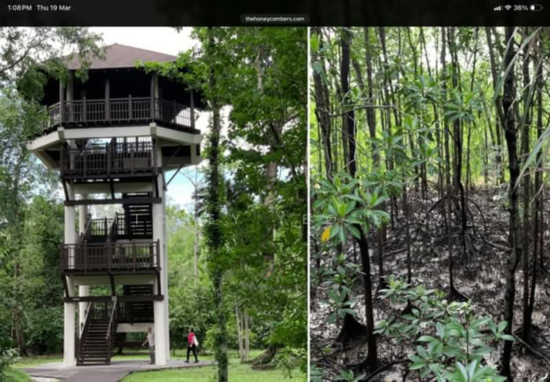 476 Pasir Ris Drive 6 HDB Flat For Sale at S$ 635,000 | PropertyGuru Singapore - Exterior