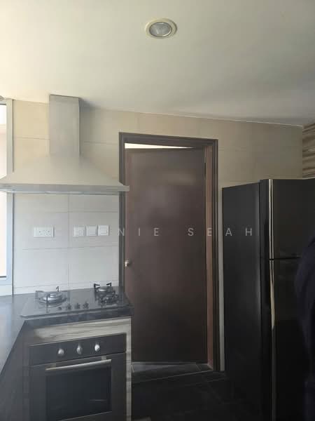 UE Square, 205 River Valley Road, Room Rental, 230 sqft, Condominium For Rent, by Connie Seah, 500084318 - Kitchen - PropertyGuru.com.sg