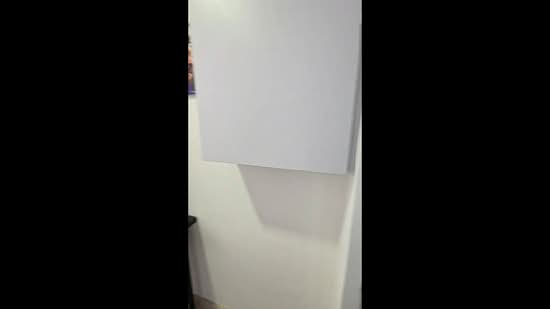 Haig 162, 162 Haig Road, 1 Bedroom, 366 sqft, Condominium For Rent, by Ken Bong 黄慧锋, 500084321 - PropertyGuru.com.sg
