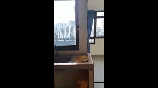 98 Whampoa Drive, 98 Whampoa Drive, 2 Bedrooms, 721 sqft, HDB Flat For Rent, by Michelle Lim, 500084374 - PropertyGuru.com.sg