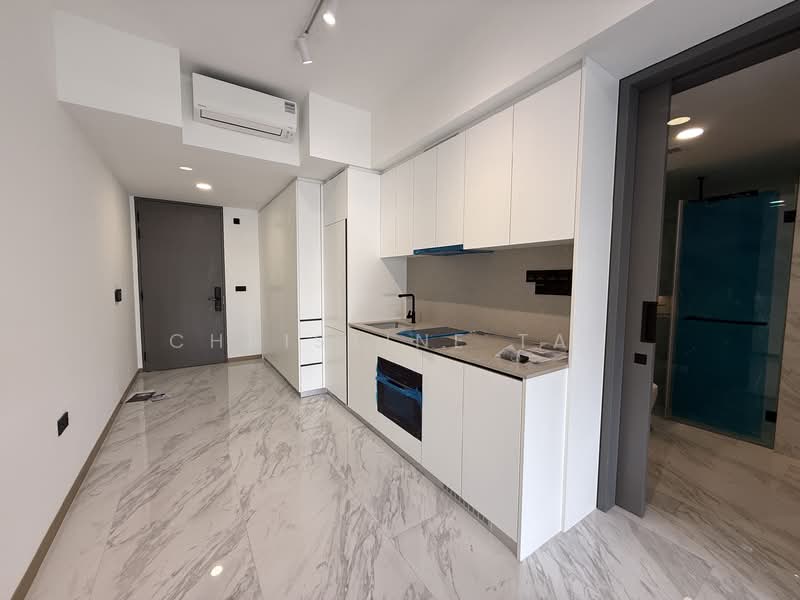 The Landmark, 173 Chin Swee Road, 1 Bedroom, 495 sqft, Condominium For Rent, by Christine Tan, 500084377 - Kitchen - PropertyGuru.com.sg