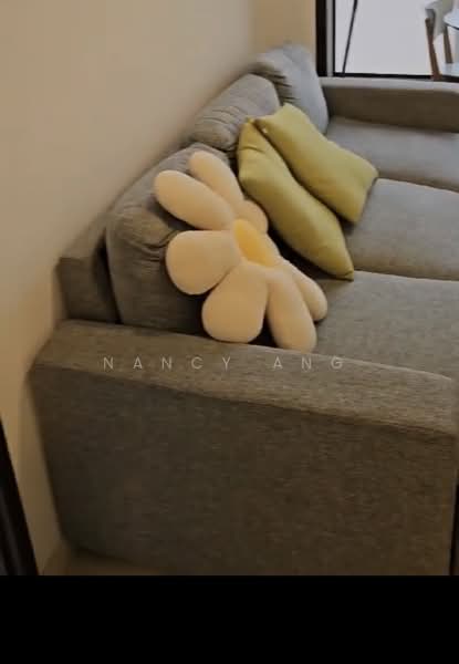 Thomson Impressions, 20 Lorong Puntong, 1 Bedroom, 463 sqft, Condominium For Rent, by Nancy Ang, 500084409 - PropertyGuru.com.sg