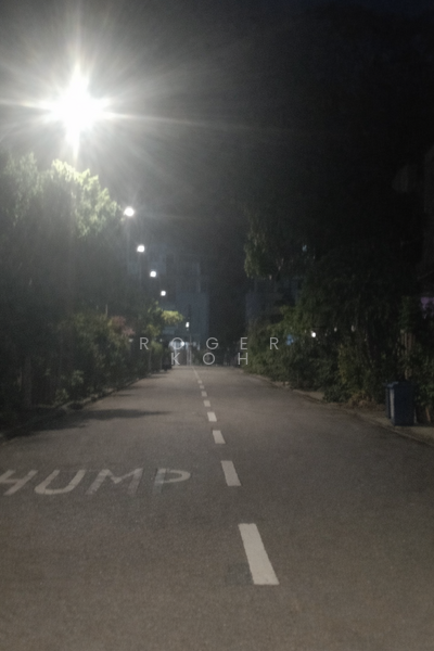 Pavilion View Terraced House For Sale at S$ 4,888,888 | PropertyGuru Singapore - Exterior