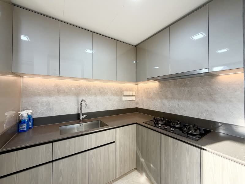 Piccadilly Grand, Northumberland Road, 4 Bedrooms, 1,410 sqft, Condominium For Rent, by Halim Gafoor, 500084878 - Kitchen - PropertyGuru.com.sg