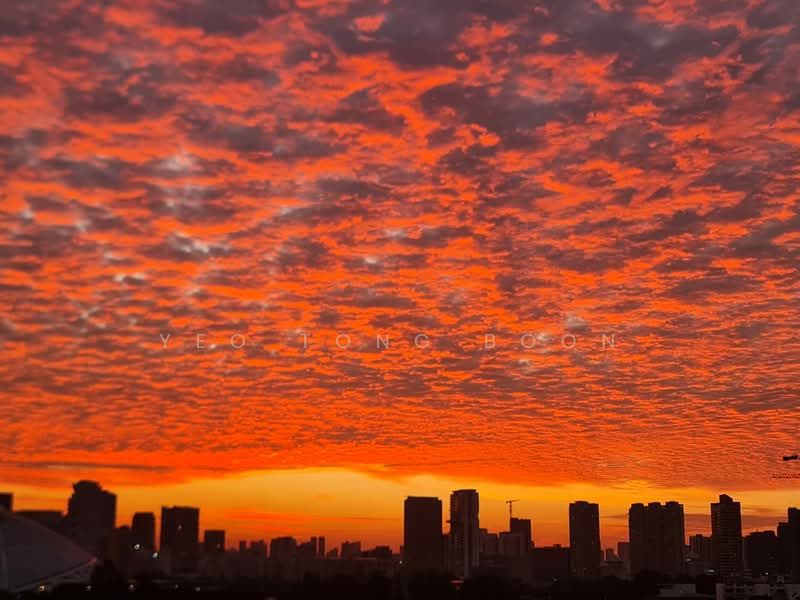 12 Pine Close HDB Flat For Sale at S$ 750,000 | PropertyGuru Singapore - Exterior