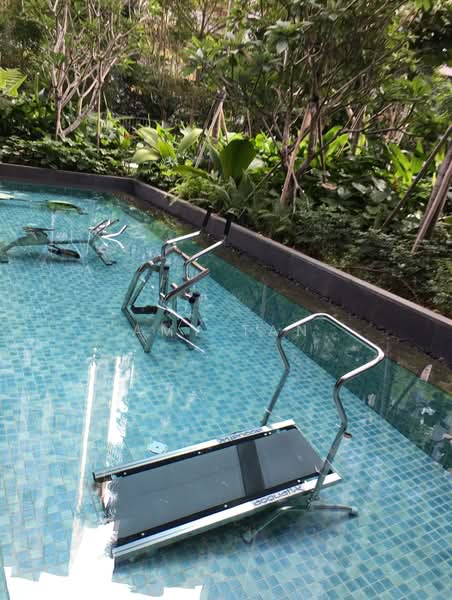 Lake Grande, 2 Jurong Lake Link, Room Rental, 180 sqft, Condominium For Rent, by Amy Tan, 500084985 - PropertyGuru.com.sg