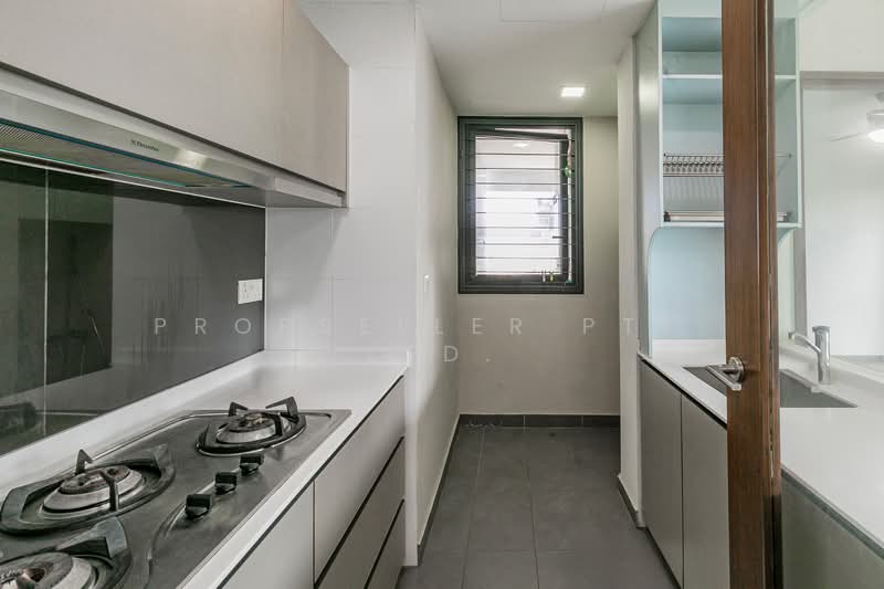 River Isles Condominium For Sale at S$ 2,260,000 | PropertyGuru Singapore - Kitchen