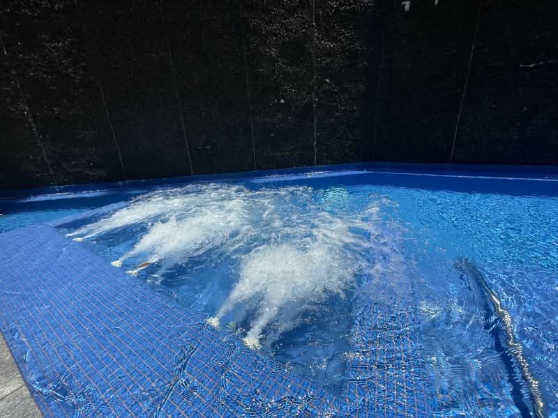 WaterScape @ Cavenagh, 65 Cavenagh Road, 1 Bedroom, 518 sqft, Condominium For Rent, by Carmen Loke, 500085445 - Pool - PropertyGuru.com.sg