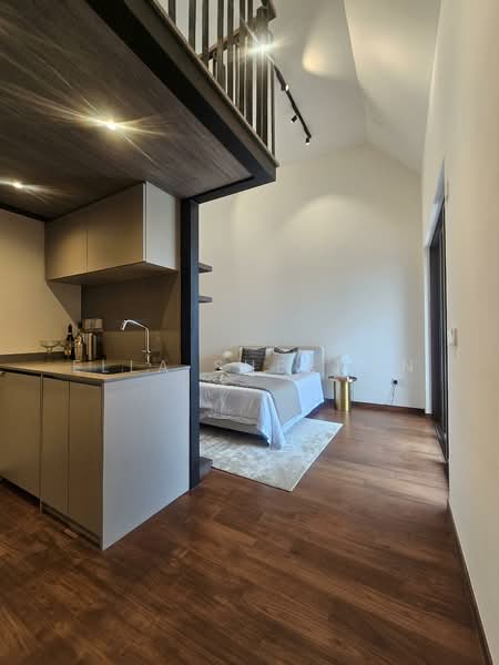 Parksuites Condominium For Sale at S$ 3,166,315 | PropertyGuru Singapore - Kitchen