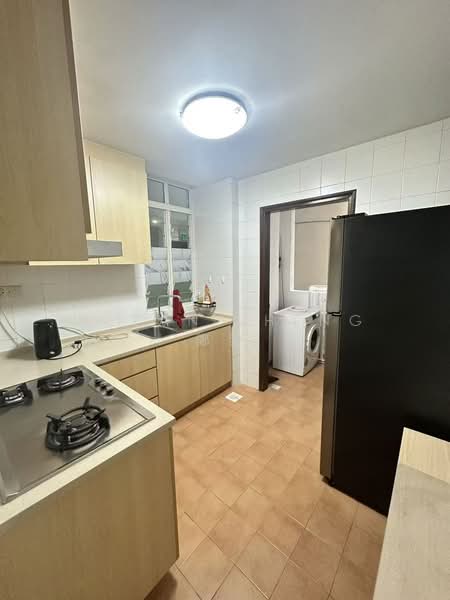 Robin Regalia, 35 Robin Road, Room Rental, 72 sqft, Condominium For Rent, by Allan Zheng 鄭黎, 500085847 - Kitchen - PropertyGuru.com.sg