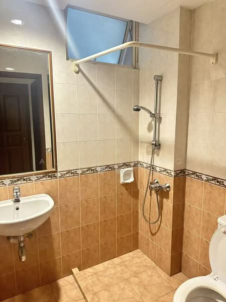 Robin Regalia, 35 Robin Road, Room Rental, 72 sqft, Condominium For Rent, by Allan Zheng 鄭黎, 500085847 - Bathroom - PropertyGuru.com.sg