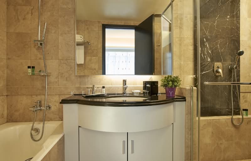 Orchard Scotts, 11 Anthony Road, 4 Bedrooms, 3,218 sqft, Condominium For Rent, by Kelvin Tay, 500086179 - Bathroom - PropertyGuru.com.sg