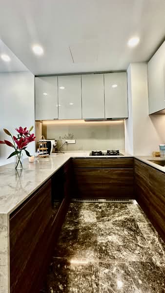 19 Nassim, 19 Nassim Hill, 2 Bedrooms, 926 sqft, Condominium For Rent, by Kelly Ye, 500086335 - Kitchen - PropertyGuru.com.sg