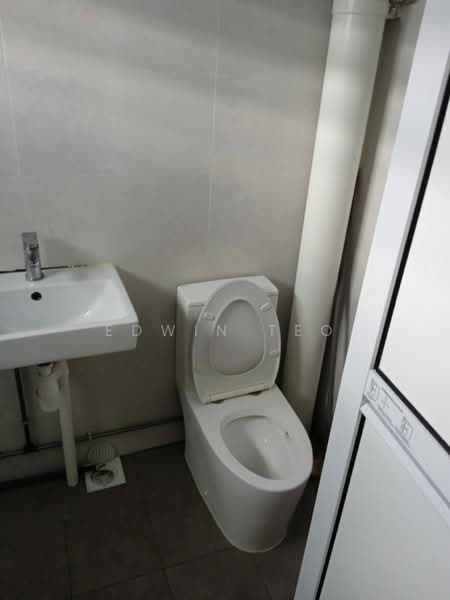 113 Pasir Ris Street 11, 113 Pasir Ris Street 11, Room Rental, 250 sqft, HDB Flat For Rent, by Edwin Teo, 500086364 - Bathroom - PropertyGuru.com.sg