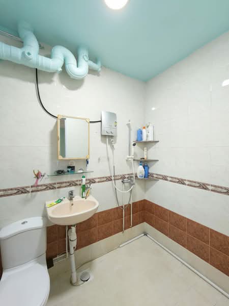 180 Pasir Ris Street 11 HDB Flat For Sale at S$ 700,000 | PropertyGuru Singapore - Bathroom