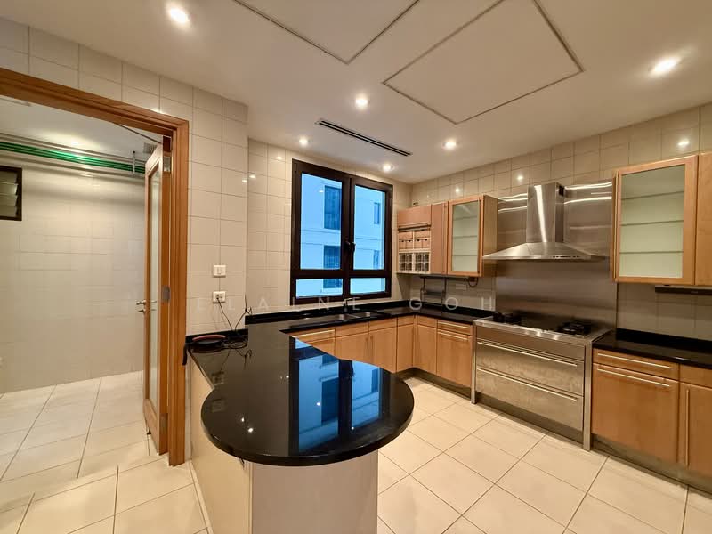 Ardmore Park Condominium For Sale at S$ 13,300,000 | PropertyGuru Singapore - Kitchen