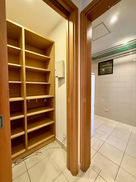 Ardmore Park Condominium For Sale at S$ 13,300,000 | PropertyGuru Singapore - Store Room and Yard