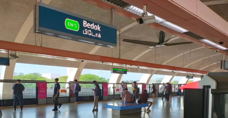 35 Chai Chee Avenue HDB Flat For Sale at S$ 480,000 | PropertyGuru Singapore