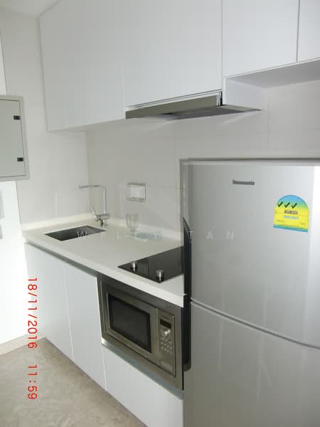 Haig 162, 162 Haig Road, 1 Bedroom, 355 sqft, Condominium For Rent, by Willy Tan, 500086719 - Kitchen - PropertyGuru.com.sg
