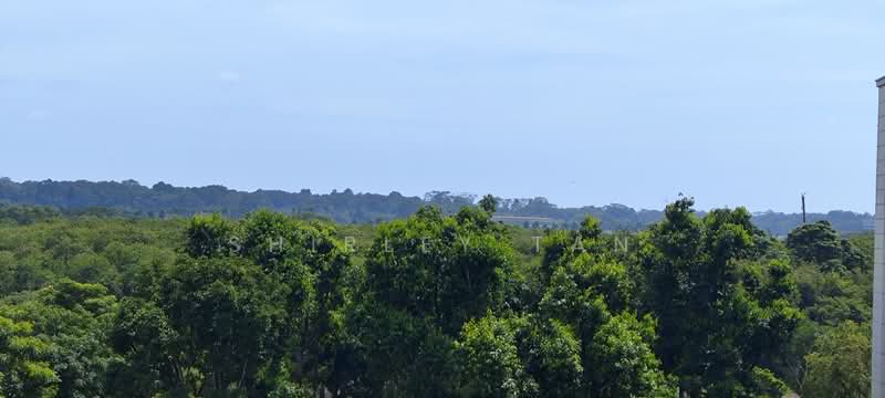 310 Hougang Avenue 5 HDB Flat For Sale at S$ 725,000 | PropertyGuru Singapore - Beautiful Greenery view 