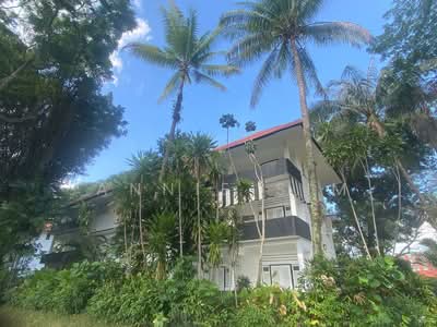 For Rent - 24 Woking Road 3rd