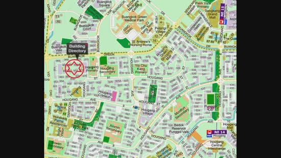 969 Hougang Street 91, 969 Hougang Street 91, Room Rental, 200 sqft, HDB Flat For Rent, by Alan Huy, 500086895 - PropertyGuru.com.sg